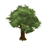 Green-leafed tree